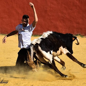 Cristian Gallardo