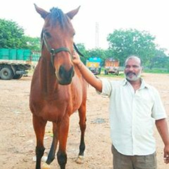 Isrinu Kavade Srinu Srinu