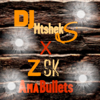 DJ Mtsheks X Z SK (AmaBullet) by Dj Mtsheks SA