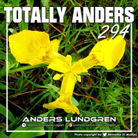 Totally Anders 294 by Anders Lundgren