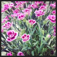 Hokuto Sato - Exclusive Nightflight Guest Mix - 25.03.14 by Tobias Koch - Nightflight - Radio FRITZ