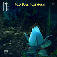 Try (RaWu Remix) by RaWu