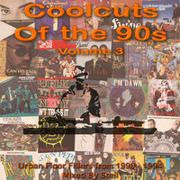 Coolcuts of the 90s Vol 3 by DJ Steil