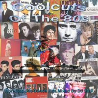 Coolcuts of the 80s Volume 1 by DJ Steil