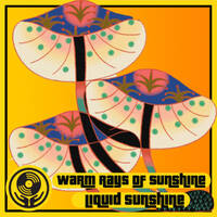 Super Soul - Warm Rays of Mellowness - Liquid Sunshine @ The Face Radio - #150 - 25-04-2023 by Liquid Sunshine