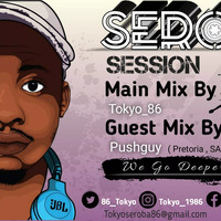 Seroba Deep Sessions #069 Guest Mix By Pushguy by Tokyo_86