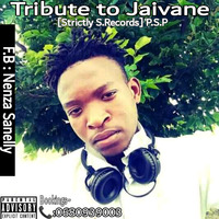 TRIBUTE TO  JAIVANE [STRICTLY S.RECORDS] P.S.P by Nenza Sanelly II