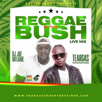 Reggae In The Bush Live Mixx - Dj Joe Mfalme &amp; MC Teargas by Dj Joe Mfalme