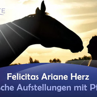Systemische Aufstellungen mit Pferden - Felicitas Ariane Herz by NuoFlix