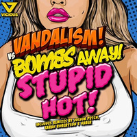 Vandalism vs Bombs Away - Stupid Hot (KM Remix) by MATTHEW LOWDER