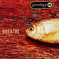 Martin W - Breathe / Remix (The Prodigy) by Schranzi81 / Techno rulez