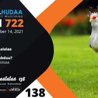RNH 722, November 14, 2021 Soora Qalbii by NHStudio