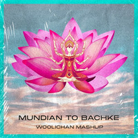 Punjabi MC - Mudian To Bachke (Woolichan Mashup) by woolichan