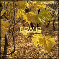 Future Garage Waves (FGW12) by TUNEBYRS