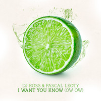 DJ Ross &amp; Pascal Leoty - I Want You Know (Ow Ow) (radio mix) by Pascal Leoty