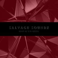 Salvage Soundz by Slik Miller