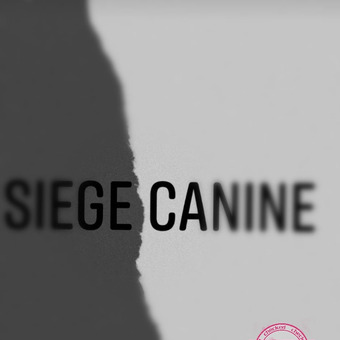 Siege Canine