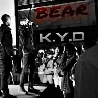 Bear Yoko