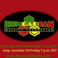 Afro-Soul Sound - Many Moods of Reggae &amp; Dub by Hungarian Massive Foundation