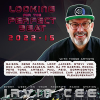 Looking for the Perfect Beat 2022-15 - RADIO SHOW by Irvin Cee by Irvin Cee