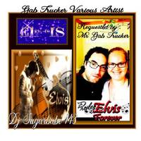 Gab Trucker Various Artist by Gab Trucker