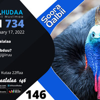 RNH 738, January 17, 2022 Soora Qalbii by NHStudio