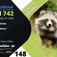 RNH 742, January 31, 2022 Soora Qalbii by NHStudio