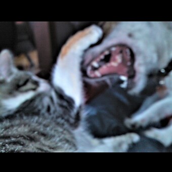 blendandused(^‿^)b