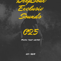 DeepSoul Exclusiv Sounds 018 Mixed By SoulMedics by DeepSoul Exclusiv Sounds