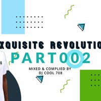 Exquisite Revolution Part 02 [Valentine Special Mix] Mixed &amp; Compiled By Dj Cool 708 by Dj Cool 708