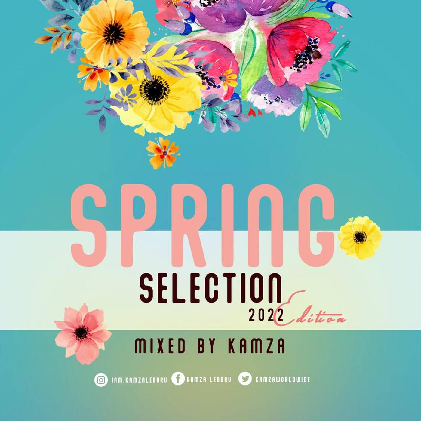 Spring Selection - 2022 Edition (BerringTings & Tshepo Mathete's Birthday Mix) LiveMix by Kamzaworldwide episode artwork