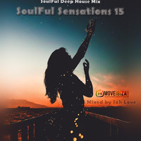 SoulFul Sensations 15 by Jah Love