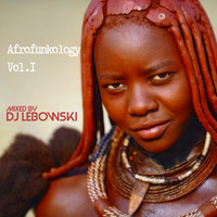 Afrofunkology Vol.1 Mixed By DJ Lebowski 30-06-22 by Lebogang Lebowski Mhlaluka