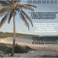Sedibana Jr - Chilled Tropical Vibes (Endless Summer Mix) [2022 Harvest Album Launch] by Sedibana Jr