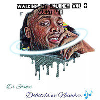 Dr Shakes_ walking my journey Vol 4 guest mix by Dr Shakes
