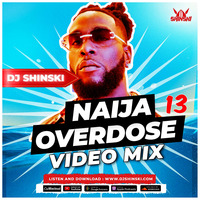 Naija Overdose Vol 13 [Buga, Finesse Asake, Burna Boy, Kizz Daniel, Ruger, Davido, Ckay, Rema] by DJ Shinski