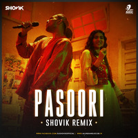 Pasoori (Remix) - DJ Shovik by AIDC