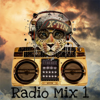 BreakZ.FM Radio Show 1 (2022) - Hip Hop - RnB - Trap - Dancehall by DJANE X-TIN