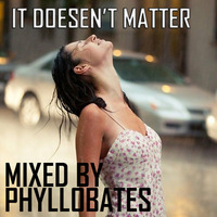 It doesen't matter - mixed by Phyllobates // Free Download by Phyllobates