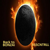 Back to Bonzai (I've added a surprise) by Bass Controllism Records