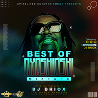 !BEST OF NYASHINSKI - DJ BRIOX by Dj Briox