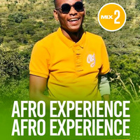 SDUMANE_Afro_Experience_Mix2_2K22 by Professory Sdumane Farkude