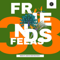 Friends Felas Vol 33.Mixed By LoGos SA &amp; SoulTouch(Danny's Birthday) by LoGos SA & Soul Touch
