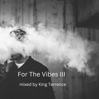 For The Vibes 3 by King Terrence