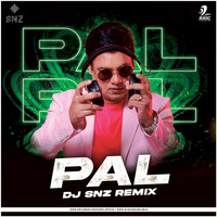 Pal (Remix) - DJ SNZ by AIDC