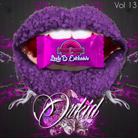 Funky Flavor Presents (Linda B Exclusive) Vol. 13 - DJ Orkid by Jenny German