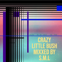 Crazy Little Bush Mixxed By S.M.L Muzik PART 1 by S.M.L MUZIK