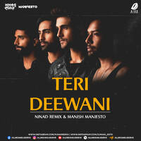 Teri Deewani (Remix) - NINAd &amp; Maniesto by All Indian DJs Drive