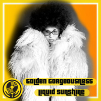 Fundamental Funk - Golden Gorgeousness - Liquid Sunshine @ The Face Radio - Show #122 - 30-08-22 by Liquid Sunshine Sound System
