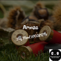 Armas (Original Mix) by Controversial Objections